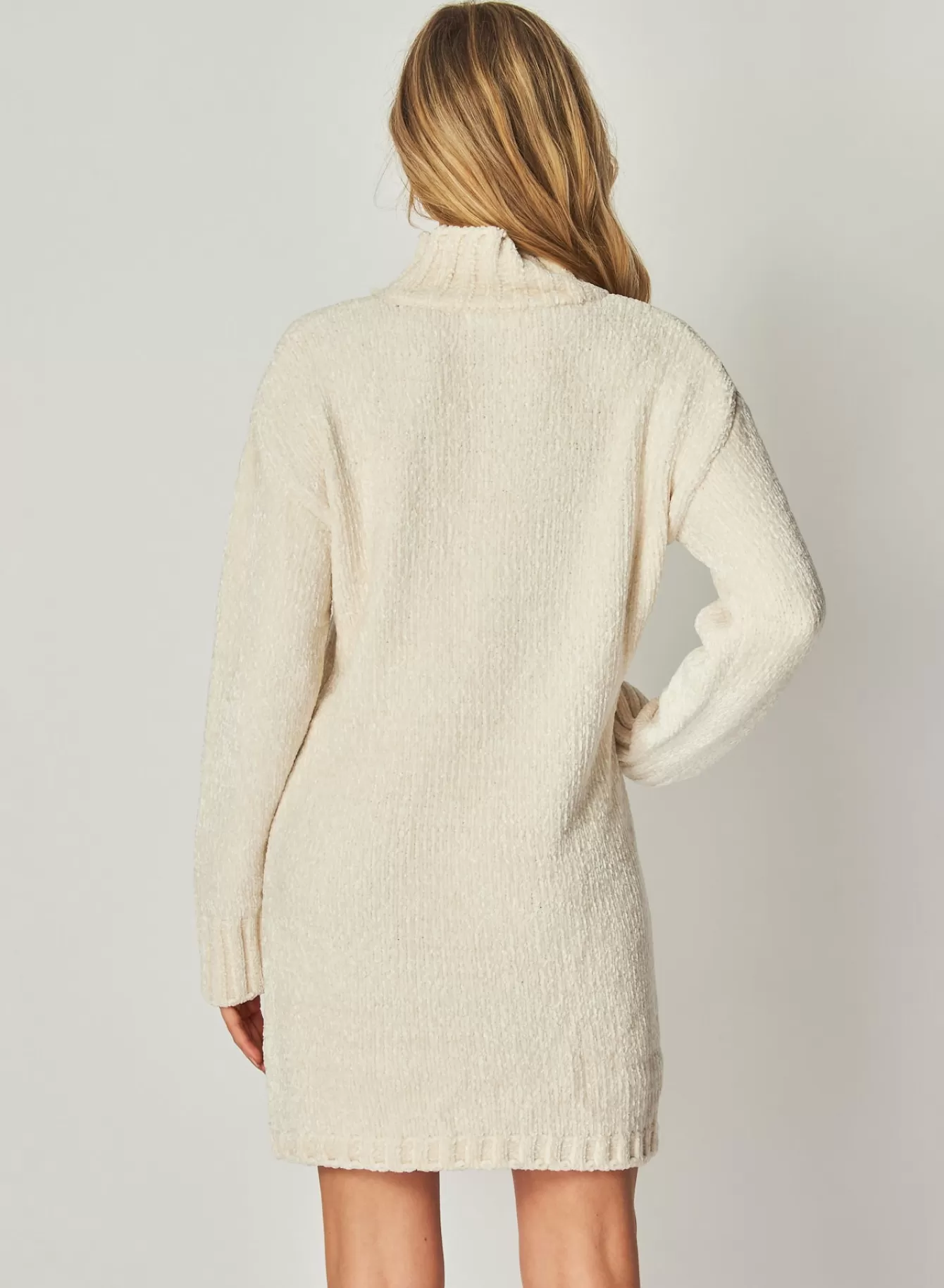 Bella Dahl Essentials Dresses-Turtle Neck Sweater Dress - Opal Ivory